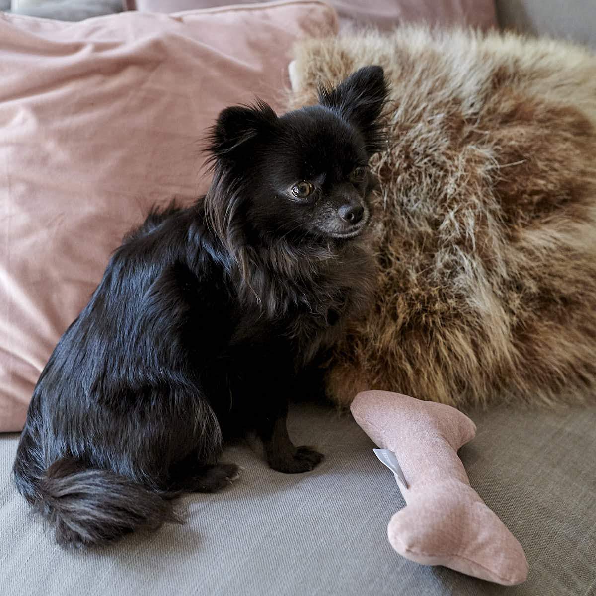 Williams Play Bone Rose (Roze)