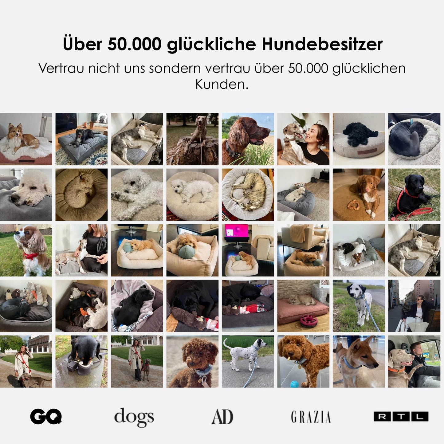 Orthopedisch hondenbed Easy