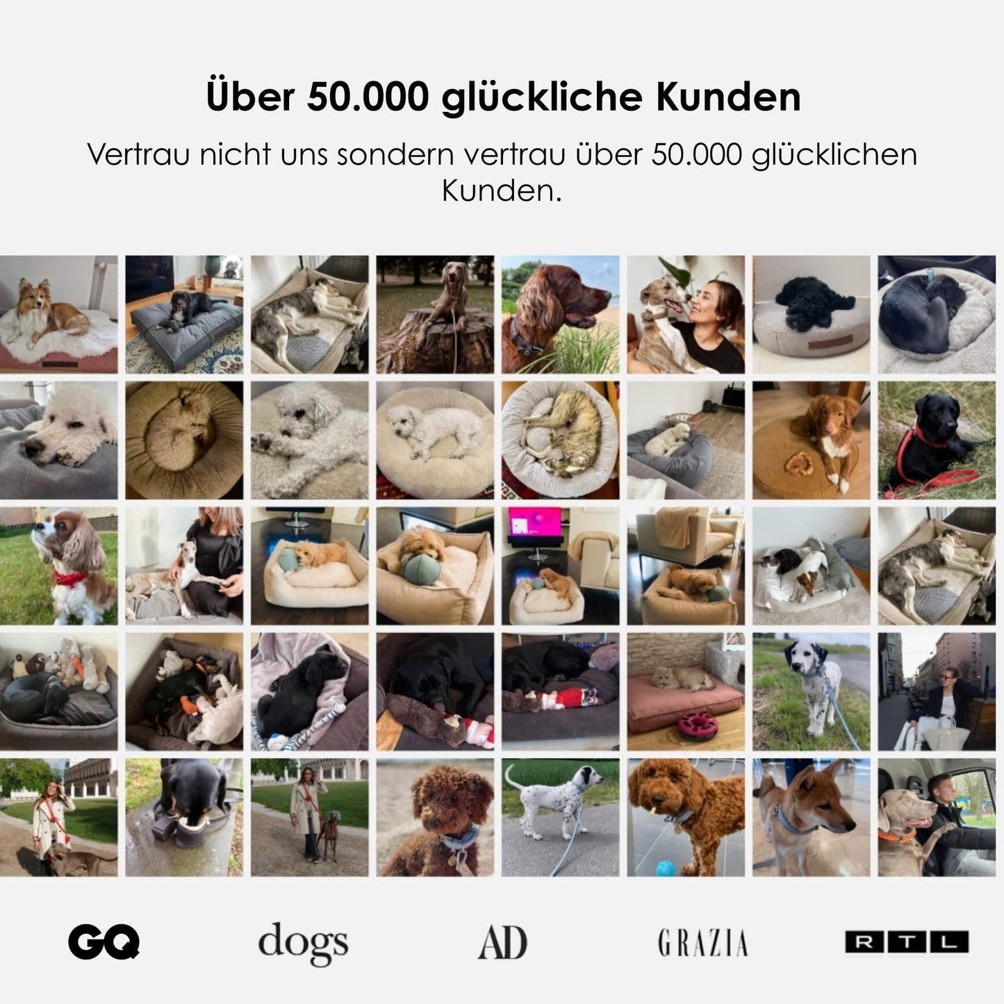 Orthopedisch hondenbed The Cloud (donkergrijs)