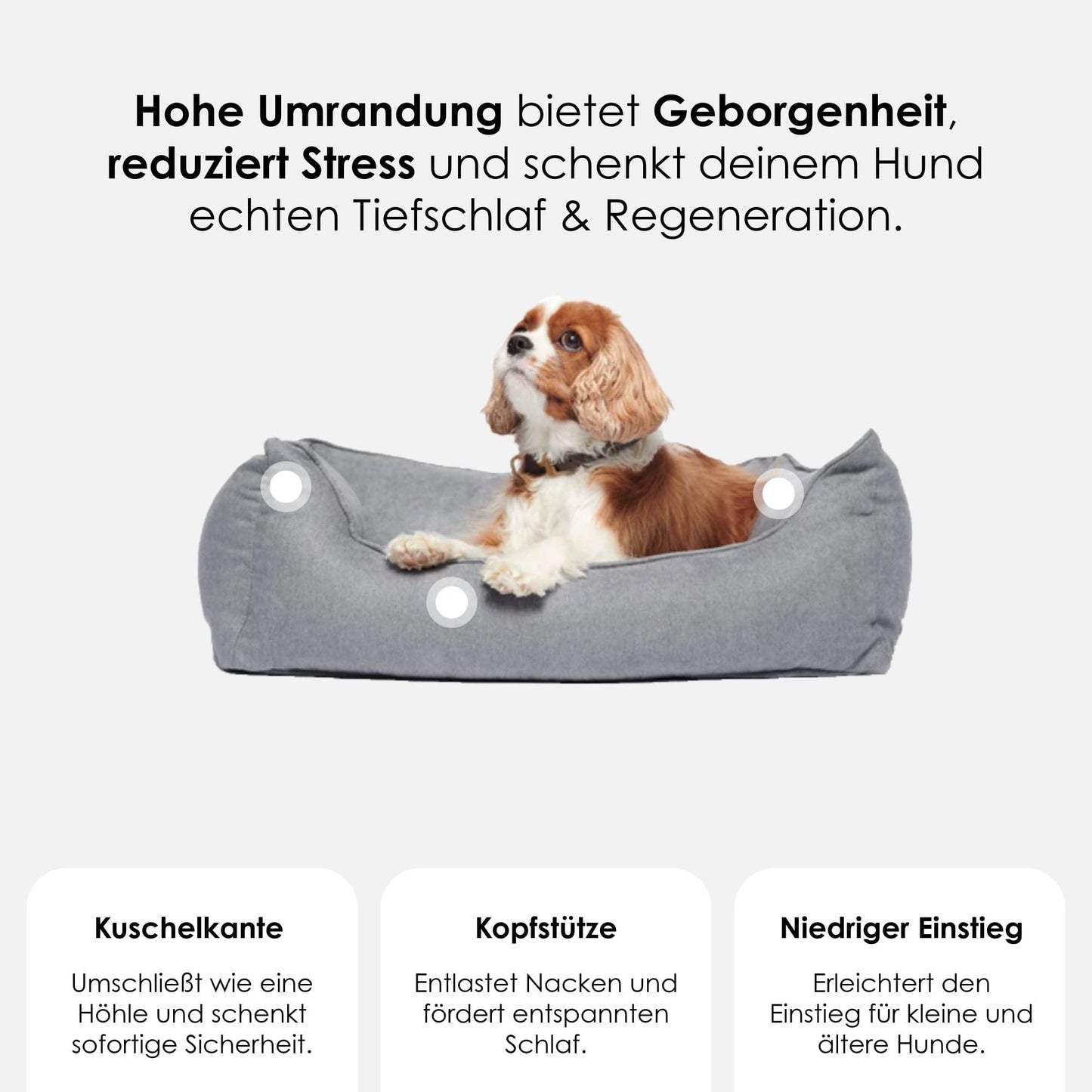 Orthopedisch hondenbed The Cloud (donkergrijs)